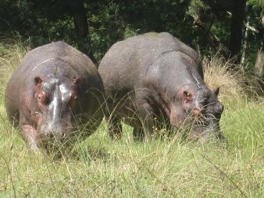 Maison de vacances �/en/au mossel bay (Western Cape)ou appartement ou maison de vacances