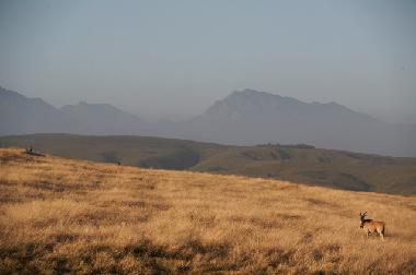 Maison de vacances �/en/au mossel bay (Western Cape)ou appartement ou maison de vacances