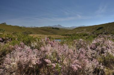 Maison de vacances �/en/au mossel bay (Western Cape)ou appartement ou maison de vacances
