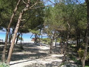 Chambre avec petit djeuner /en/au Alghero (Sassari)ou appartement ou maison de vacances