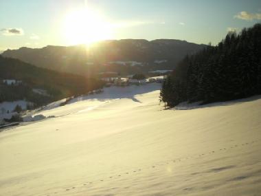 Appartement de vacances /en/au 8820 (stliche Obersteiermark)ou appartement ou maison de vacances