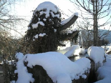 Appartement de vacances /en/au 8820 (stliche Obersteiermark)ou appartement ou maison de vacances