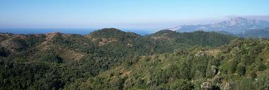 Appartement de vacances /en/au Tortorella (Salerno)ou appartement ou maison de vacances