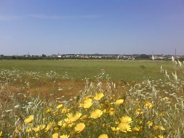 Appartement de vacances �/en/au Patu