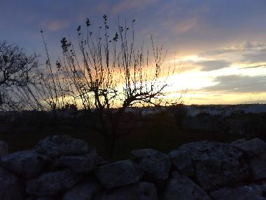 Appartement de vacances �/en/au Patu