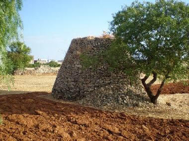 Appartement de vacances �/en/au Patu