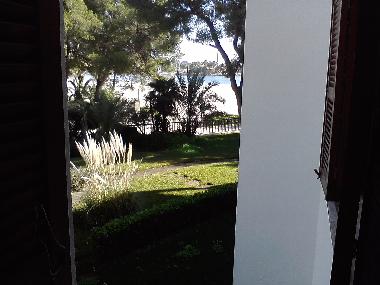 Appartement de vacances /en/au Pto.Alcudia (Mallorca)ou appartement ou maison de vacances