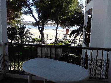 Appartement de vacances /en/au Pto.Alcudia (Mallorca)ou appartement ou maison de vacances