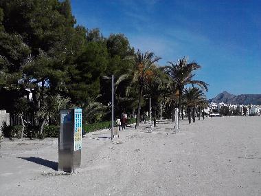 Appartement de vacances /en/au Pto.Alcudia (Mallorca)ou appartement ou maison de vacances