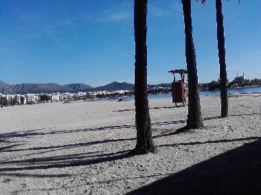 Appartement de vacances /en/au Pto.Alcudia (Mallorca)ou appartement ou maison de vacances