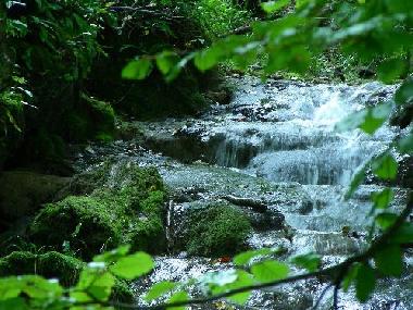 Appartement de vacances �/en/au Bad Urach (Schw�bische Alb)ou appartement ou maison de vacances
