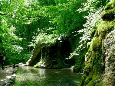 Appartement de vacances �/en/au Bad Urach (Schw�bische Alb)ou appartement ou maison de vacances