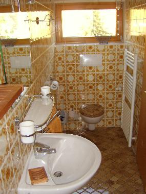 Appartement de vacances /en/au Schnmnzach (Schwarzwald)ou appartement ou maison de vacances