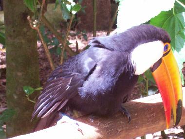 Chambre avec petit d�jeuner �/en/au Mariano Roque Alonso (Central)ou appartement ou maison de vacances