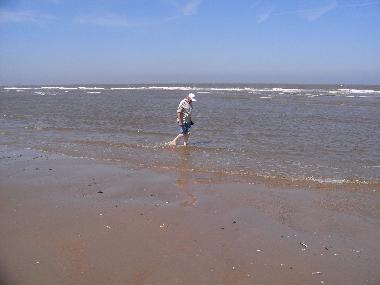 Chalet /en/au Bredene (Flandre)ou appartement ou maison de vacances