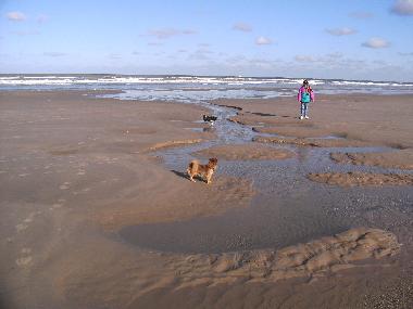 Chalet /en/au Bredene (Flandre)ou appartement ou maison de vacances