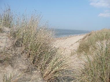 Chalet /en/au Bredene (Flandre)ou appartement ou maison de vacances