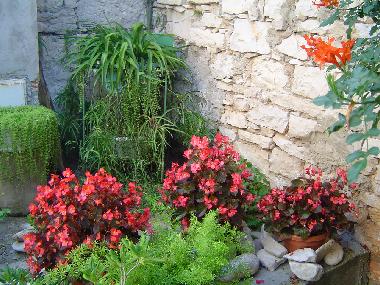 Villa �/en/au Lumbarda (Dubrovacko-Neretvanska)ou appartement ou maison de vacances