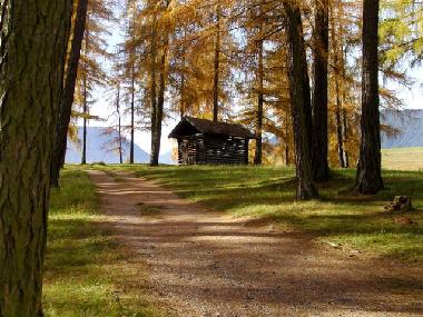 Appartement de vacances �/en/au Wildermieming (Innsbruck)ou appartement ou maison de vacances