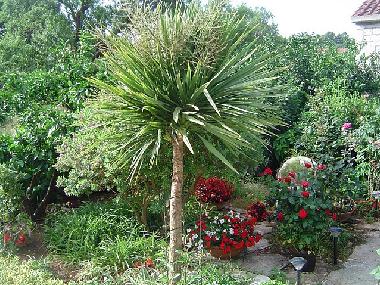 Villa �/en/au Lumbarda (Dubrovacko-Neretvanska)ou appartement ou maison de vacances