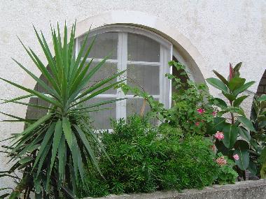 Villa �/en/au Lumbarda (Dubrovacko-Neretvanska)ou appartement ou maison de vacances