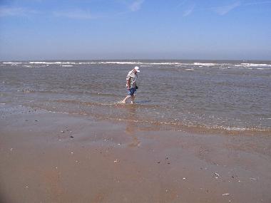 Chalet /en/au Bredene (Flandre)ou appartement ou maison de vacances