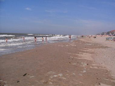 Chalet /en/au Bredene (Flandre)ou appartement ou maison de vacances