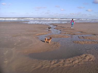 Chalet /en/au Bredene (Flandre)ou appartement ou maison de vacances