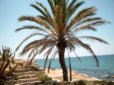 Appartement de vacances /en/au Salou (Tarragona)ou appartement ou maison de vacances