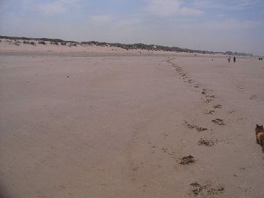 Maison de vacances /en/au Bredene (Flandre)ou appartement ou maison de vacances