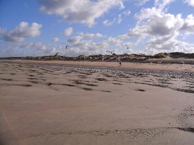 Maison de vacances /en/au Bredene (Flandre)ou appartement ou maison de vacances