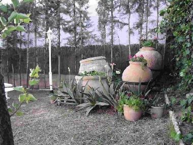 Chalet /en/au CHICLANA DE LA FRONTERA (Cdiz)ou appartement ou maison de vacances