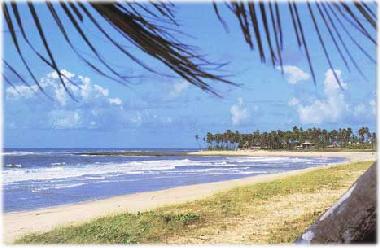 Maison de vacances �/en/au Guarajuba (Bahia)ou appartement ou maison de vacances