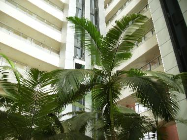 Appartement de vacances �/en/au Herzliya  (Tel Aviv)ou appartement ou maison de vacances