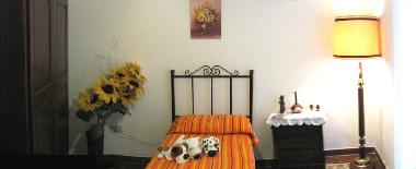 Maison de vacances /en/au SANTA MARIA DI LEUCA (Lecce)ou appartement ou maison de vacances