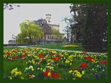 Appartement de vacances /en/au Langenargen (Bodensee)ou appartement ou maison de vacances