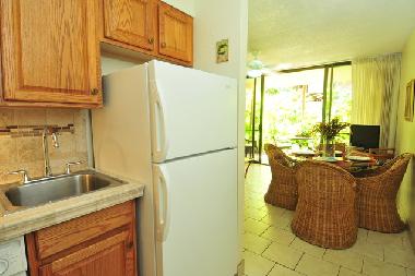 Appartement de vacances /en/au Kaanapali (Hawaii)ou appartement ou maison de vacances