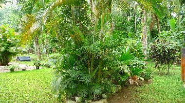 Maison de vacances /en/au Ahangama  (Galle)ou appartement ou maison de vacances