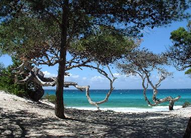 Plage de Saleccia (St-Florent)