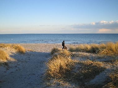 Maison de vacances �/en/au ishoej (Kobenhavn)ou appartement ou maison de vacances