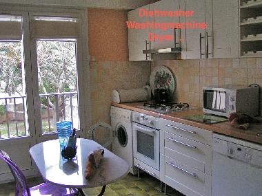 Appartement de vacances /en/au Erbalunga Cap corse (Haute-Corse)ou appartement ou maison de vacances