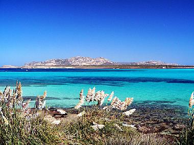 Appartement de vacances �/en/au STINTINO  (Sassari)ou appartement ou maison de vacances