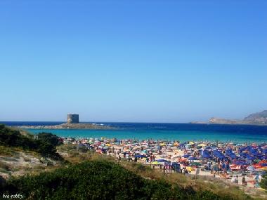 Appartement de vacances �/en/au STINTINO  (Sassari)ou appartement ou maison de vacances