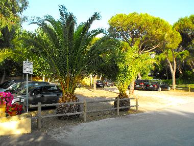 Appartement de vacances /en/au castiglione della pescaia (Grosseto)ou appartement ou maison de vacances