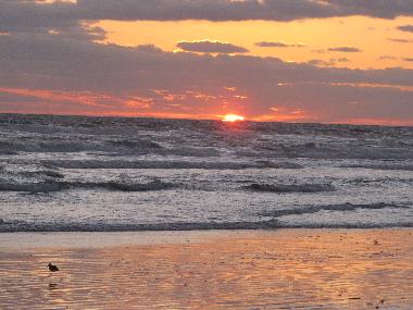 Lever du soleil, plage de New Smyrna Beach