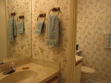 Dressing et salle de douche "master"
