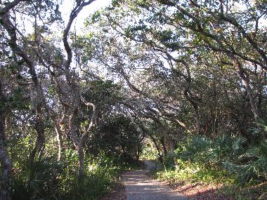 Sentier vers la plage
