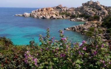 Appartement de vacances �/en/au santa teresa  (Olbia-Tempio)ou appartement ou maison de vacances