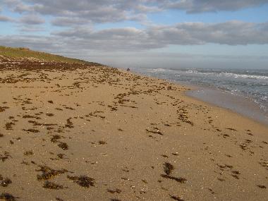 Cape Canaveral National Seashore