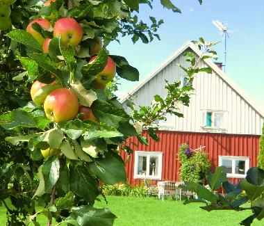 Maison de vacances �/en/au Holsbybrunn (Smaland)ou appartement ou maison de vacances